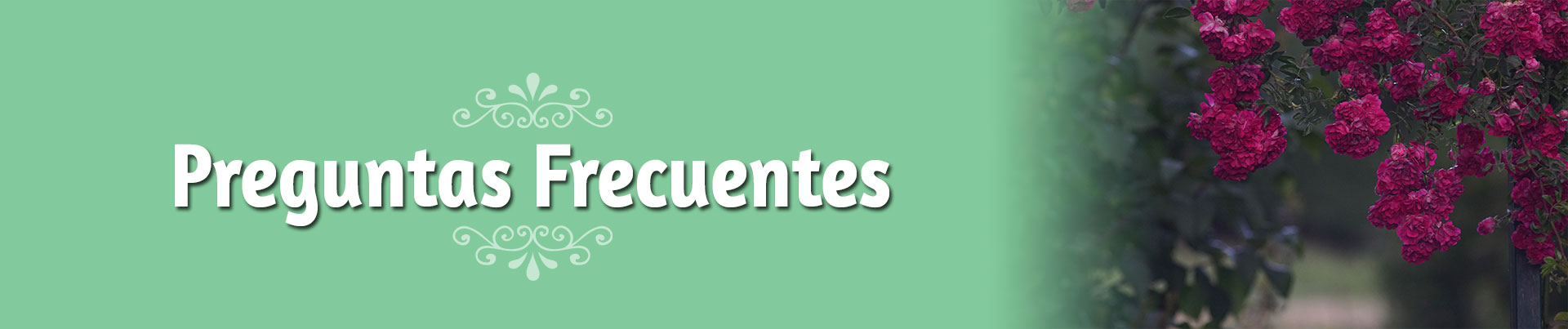 PREGUNTAS FRECUENTES
